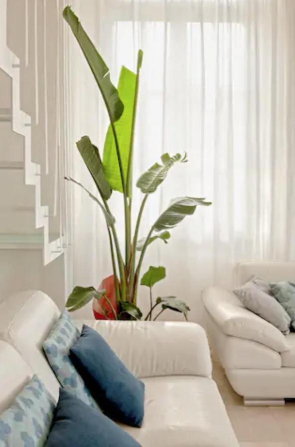 הוילה טירניה Amazing Sea View Flat מראה חיצוני תמונה
